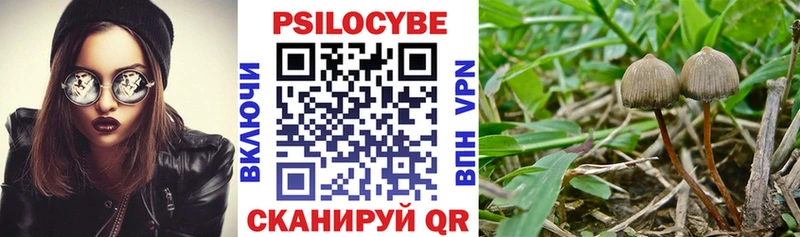 Купить  Славгород  Галлюциногенные грибы Magic Shrooms 