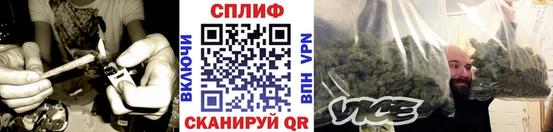Конопля тримм  Купить закладки  Славгород 